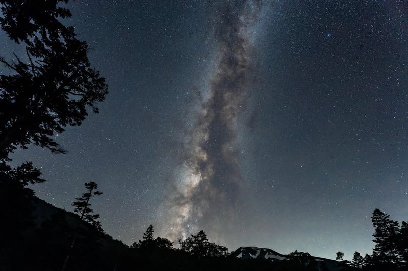 Starry night sky in the wilderness